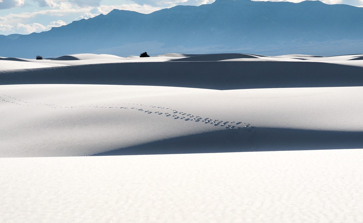 Des Fenetres sur le Monde - White Sands NM - Nouveau Mexique - USA -28