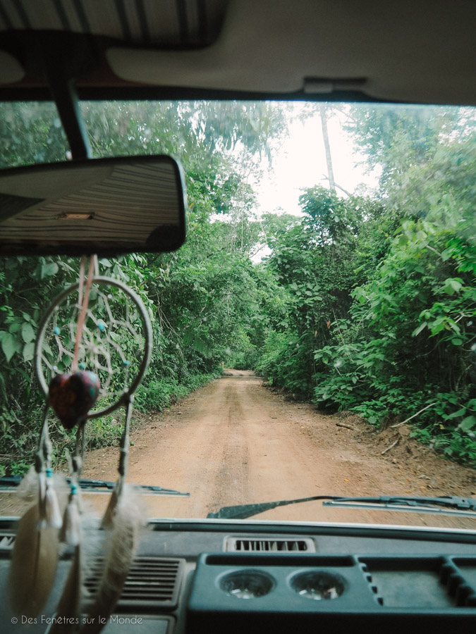 La piste vers le temple de Caracol au Belize