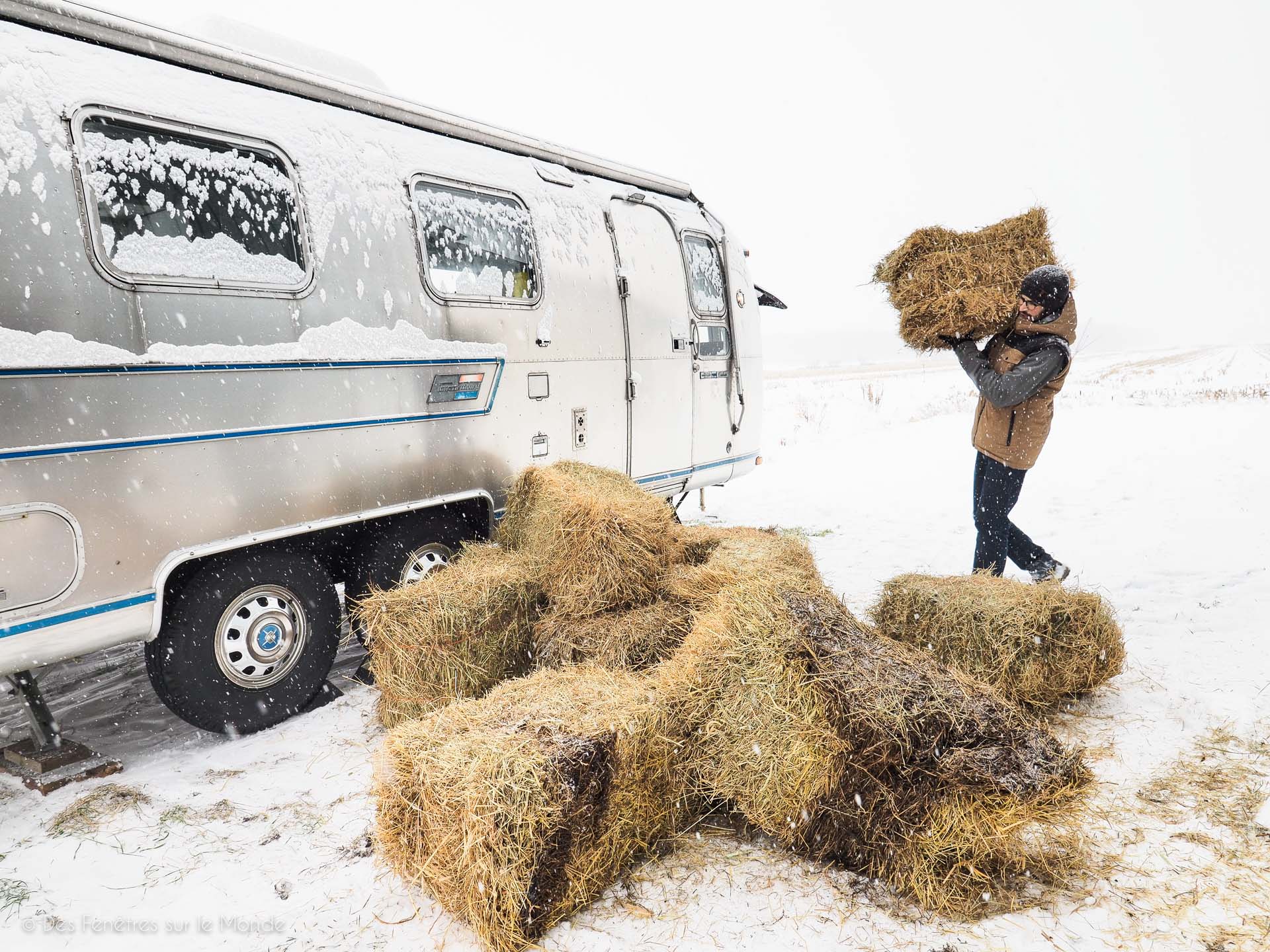 Fenêtre camping car/van - Équipement caravaning